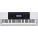 Casio CTK 4200